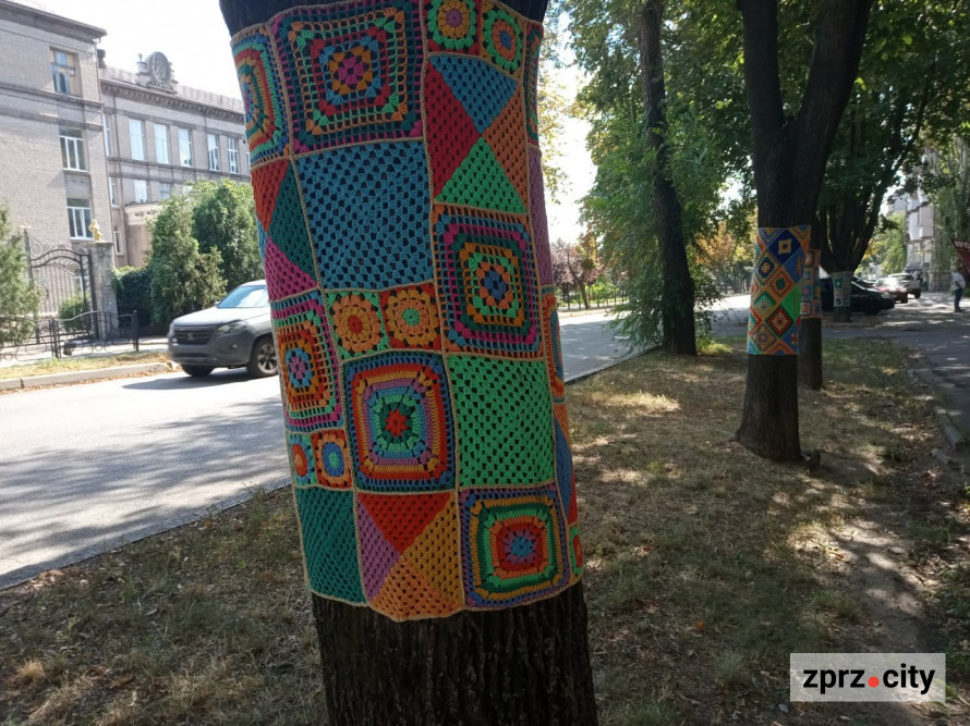 Мухомор бажань, черепаха та дерева у "светрах": де у Запоріжжі побачити незвичайну локацію (фото)