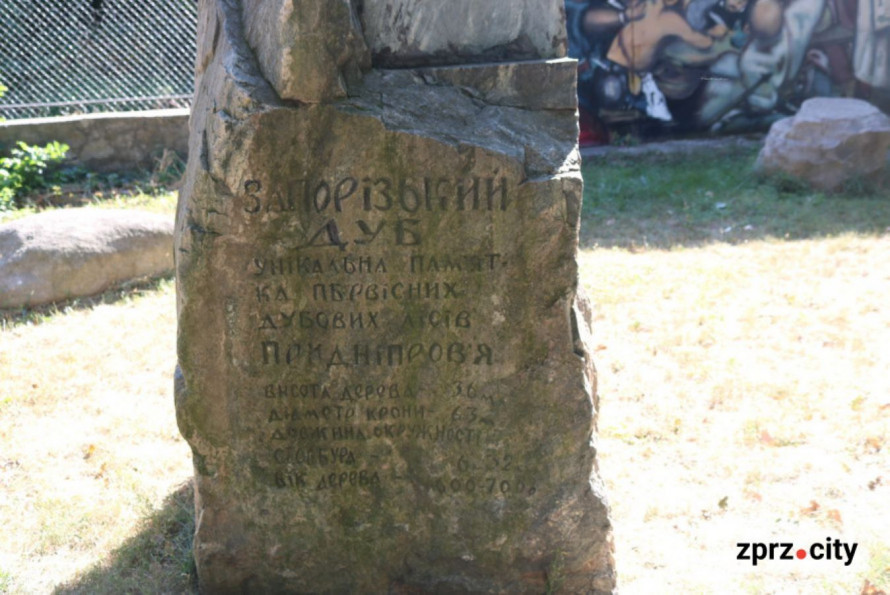 Коли і навіщо біля Запорізького дубу побудували музейний комплекс - фото