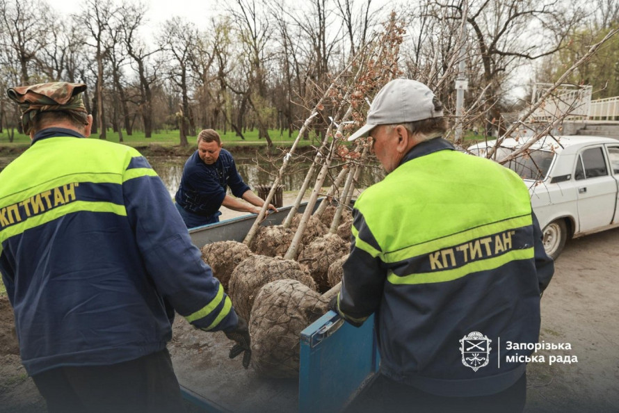 У запорізькому парку висадили нову алею дубів (фото)
