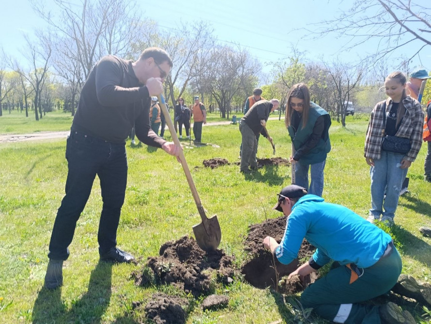 У Запоріжжі з'явилася алея дубів із «шевченківським корінням» (фото)