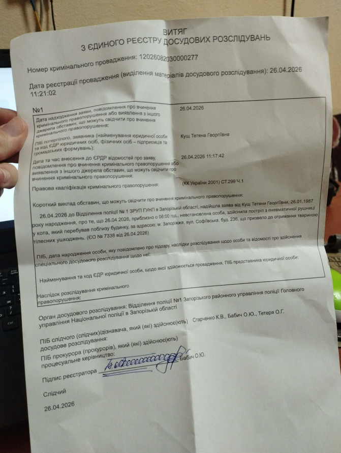 Помер попри зусилля лікарів: у Запоріжжі розстріляли кота Лапусіка (фото, відео)