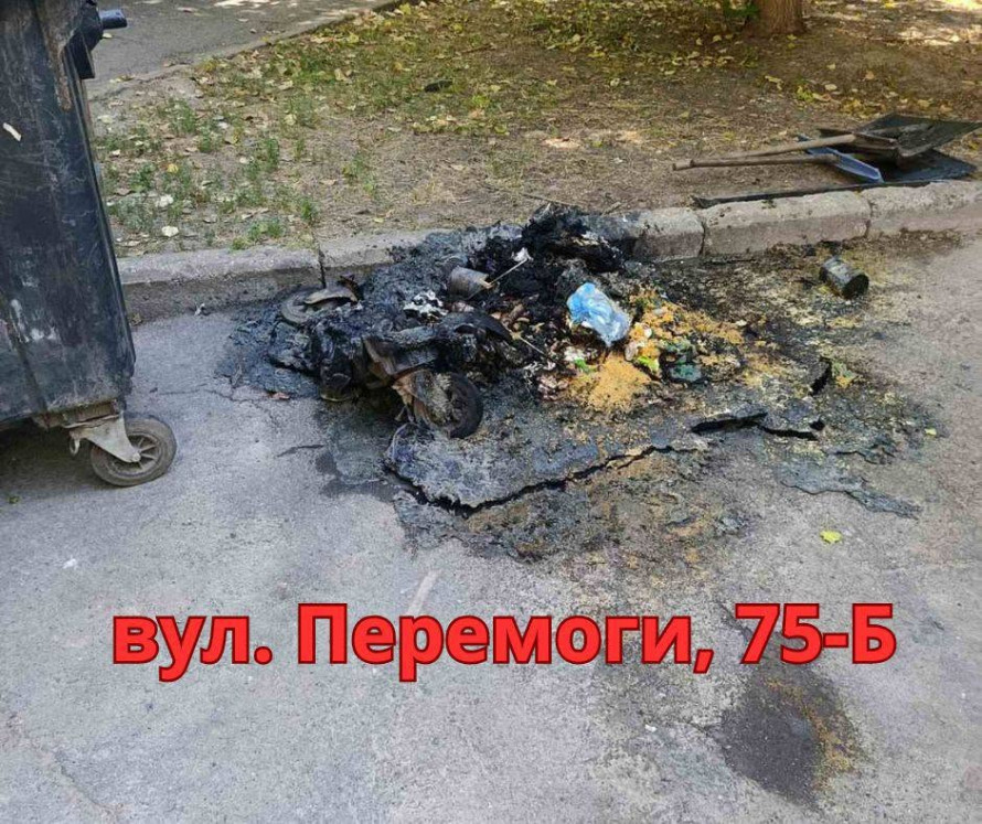 Спалили вщент: у центрі Запоріжжя невідомі нищать сміттєві баки (фото)