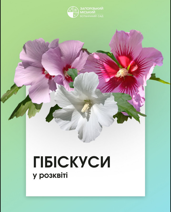 Як цікаво провести час у Запоріжжі в середині серпня - афіша культурних подій