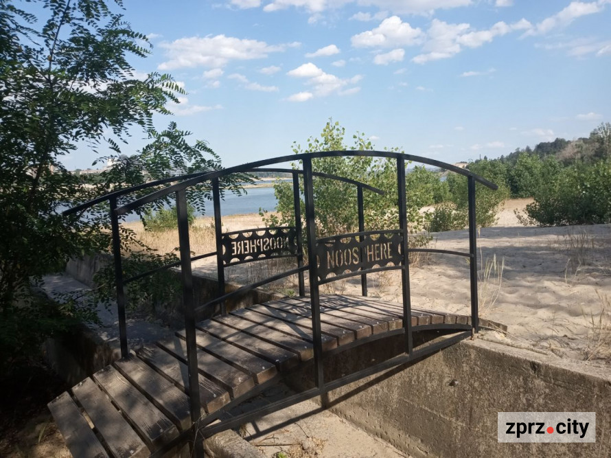 На місці колишнього дна Дніпра на узбережжі Хортиці виріс тополевий ліс висотою у два людські зрости - фото