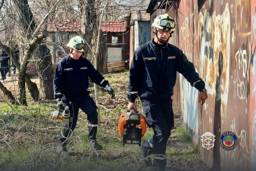 У Запоріжжі пес опинився у пастці: небайдужі люди почули скавчання