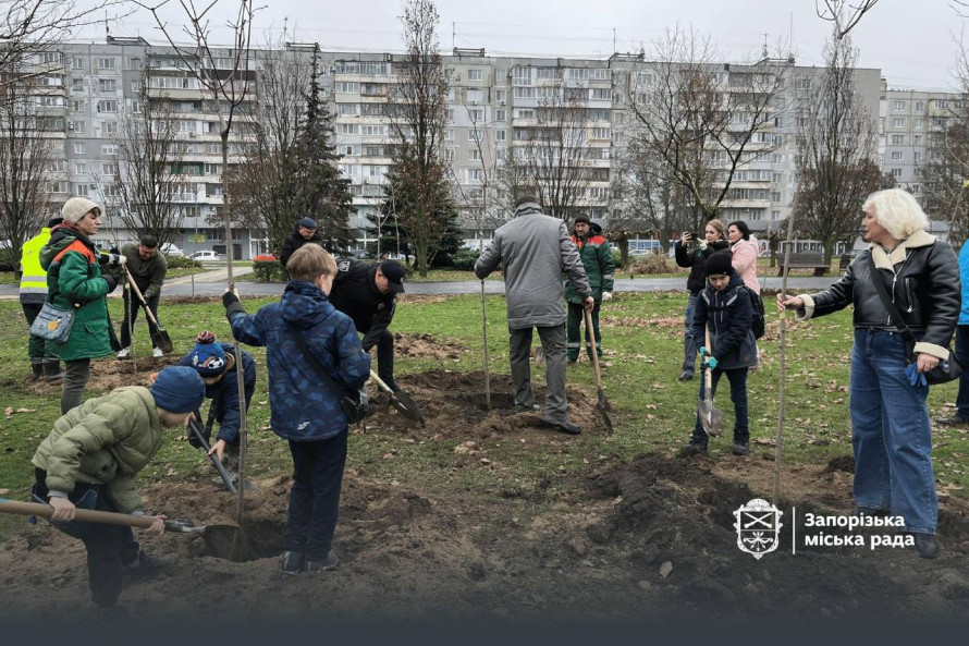 У запорізькому парку висадили більше ста лип і кленів - є унікальний сорт (фото)