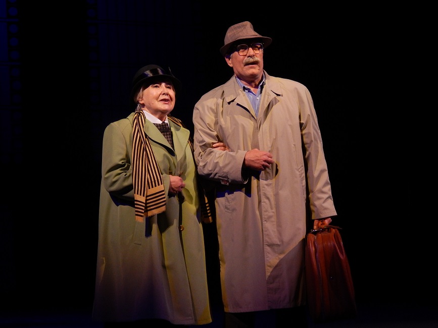 Понад пів століття на сцені: запорізький театр втратив видатну акторку Світлану Бобир (фото)