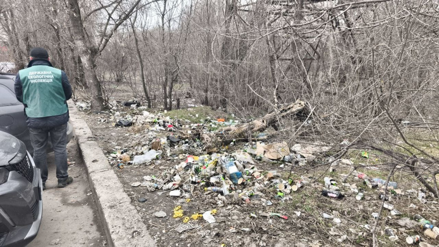 Каністри, покришки і кавові стаканчики: у Запоріжжі екологи виявили смітник біля парковки (фото)