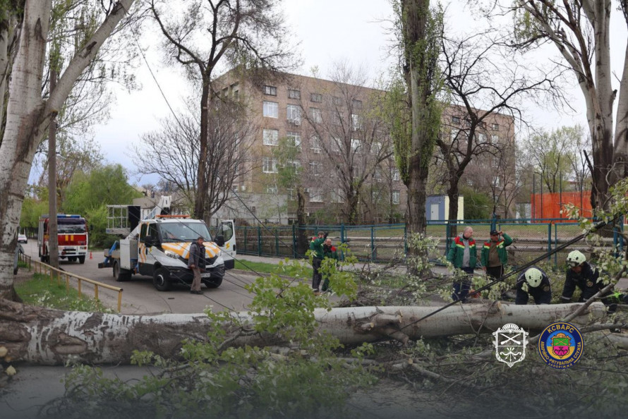 Негода у Запоріжжі повалила дерева: рух дорогами ускладнений (фото, відео)