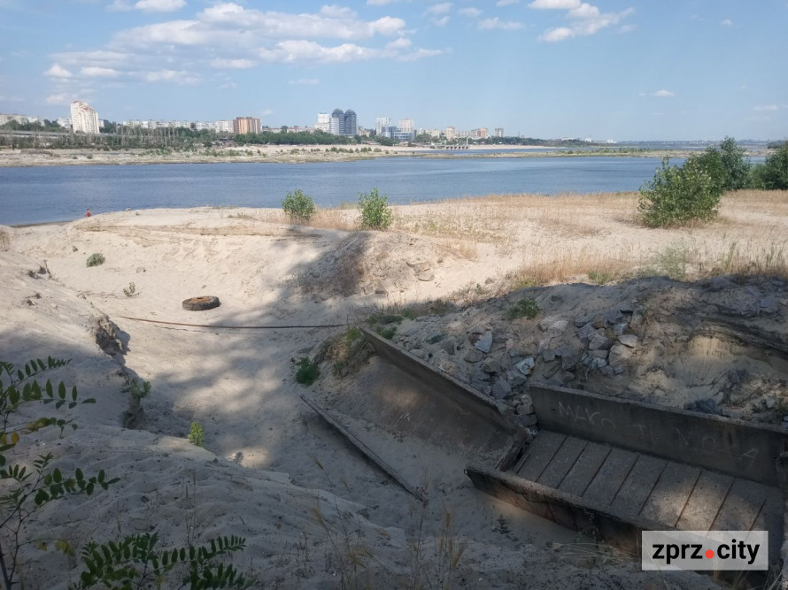На місці колишнього дна Дніпра на узбережжі Хортиці виріс тополевий ліс висотою у два людські зрости - фото