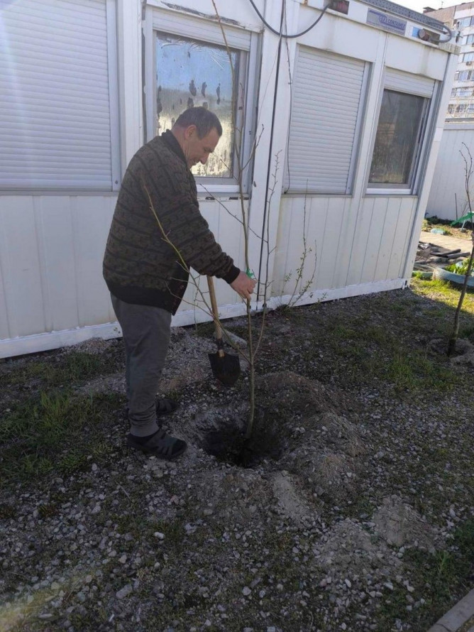 У модульному містечку Запоріжжя висадили алею молодих дерев