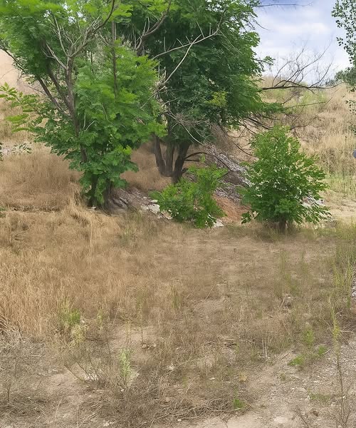 У Запоріжжі екоінспектори виявили сміттєзвалище біля будинку — ще два в інших районах прибрали (фото)