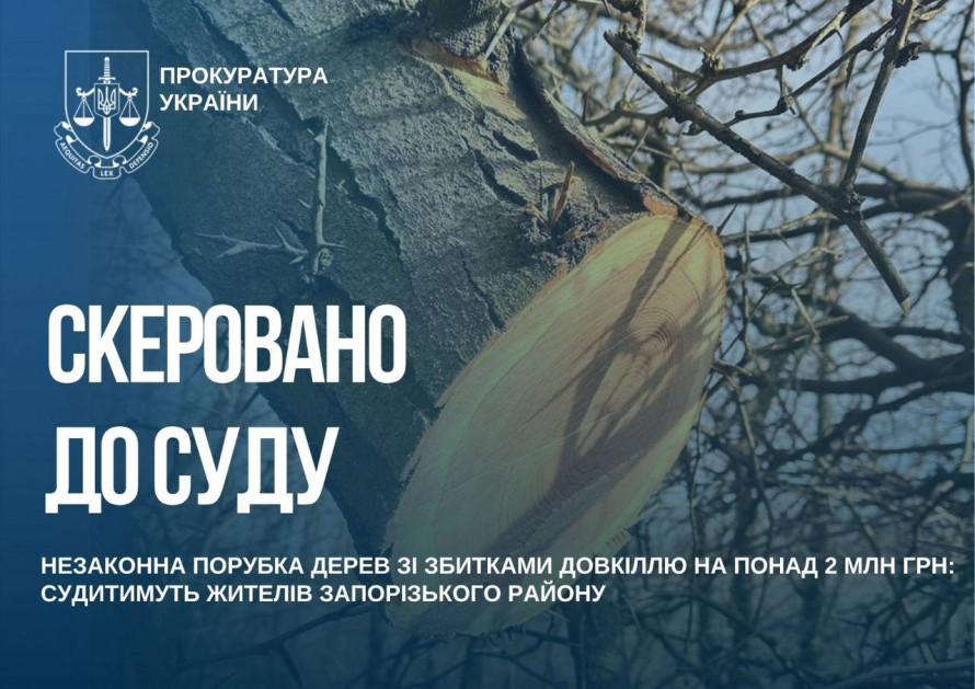 Знищили понад 250 дерев: у Запоріжжі судитимуть чотирьох «чорних лісорубів»