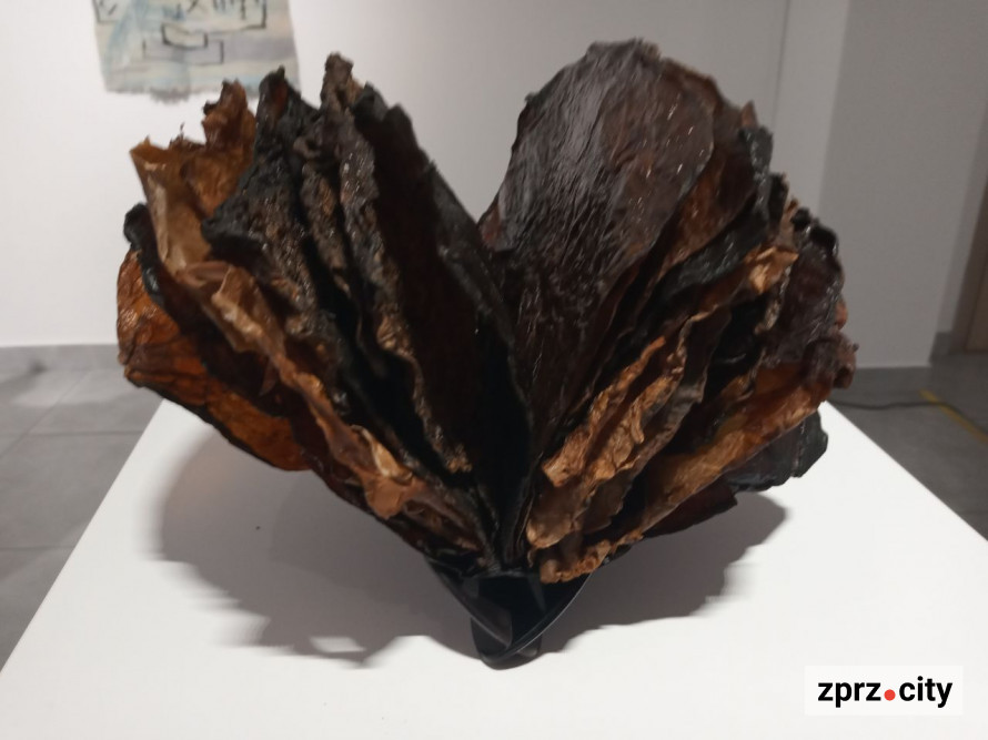 У Запоріжжі показали книгу, вирощену з гриба, та інші незвичайні артбуки - фото