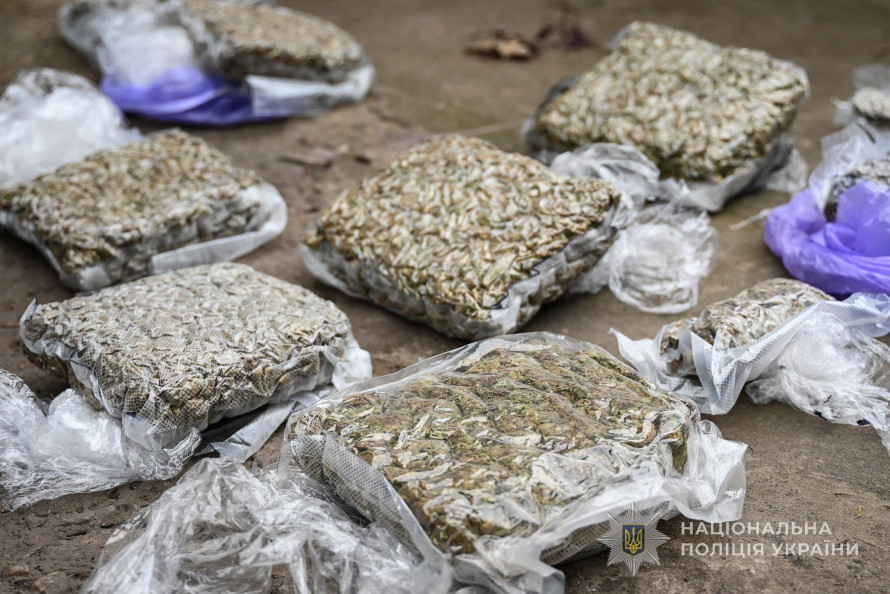 Заробляв мільйони: у Запоріжжі пенсіонер вирощував "елітний канабіс" (фото)