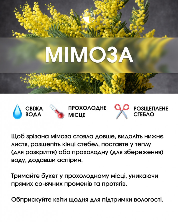 Букет, який довго не в’яне: секрети догляду за популярними квітами