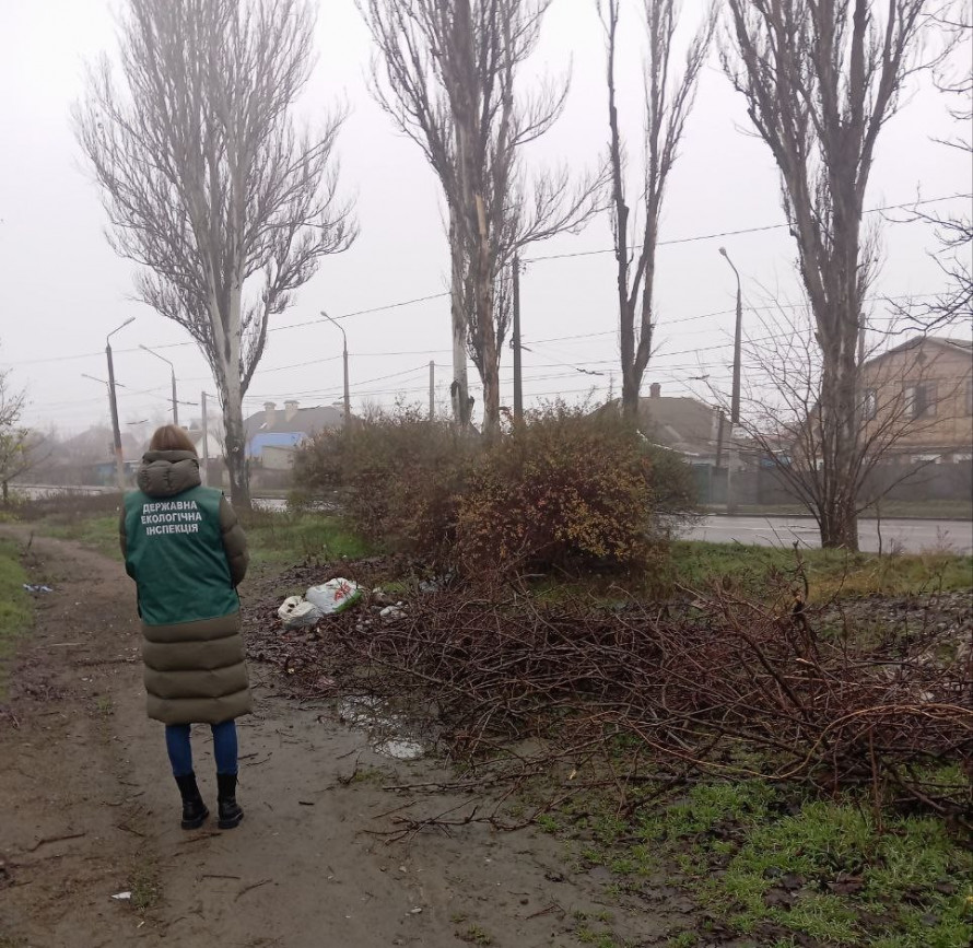 Звалище на вулиці - у Запоріжжі екологи натрапили на скупчення сміття просто неба