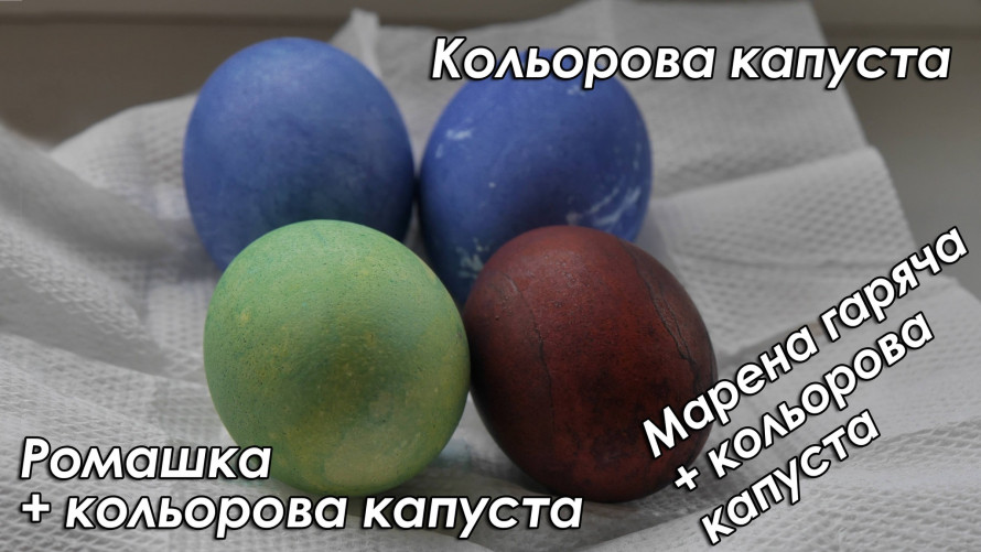 Як пофарбувати яйця без хімії: трави, капуста та цибулеве лушпиння