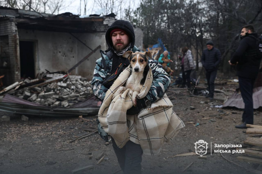 Внаслідок атаки БпЛа був зруйнований притулок «Дай лапу, друже» - волонтери просять про допомогу (фото)