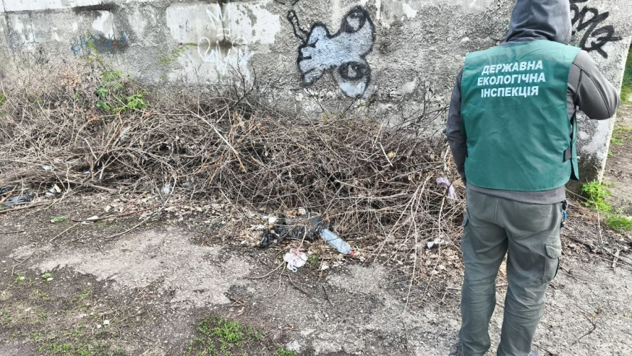 Уздовж вулиць і біля будинків: у Запоріжжі виявили стихійні сміттєзвалища (фото)