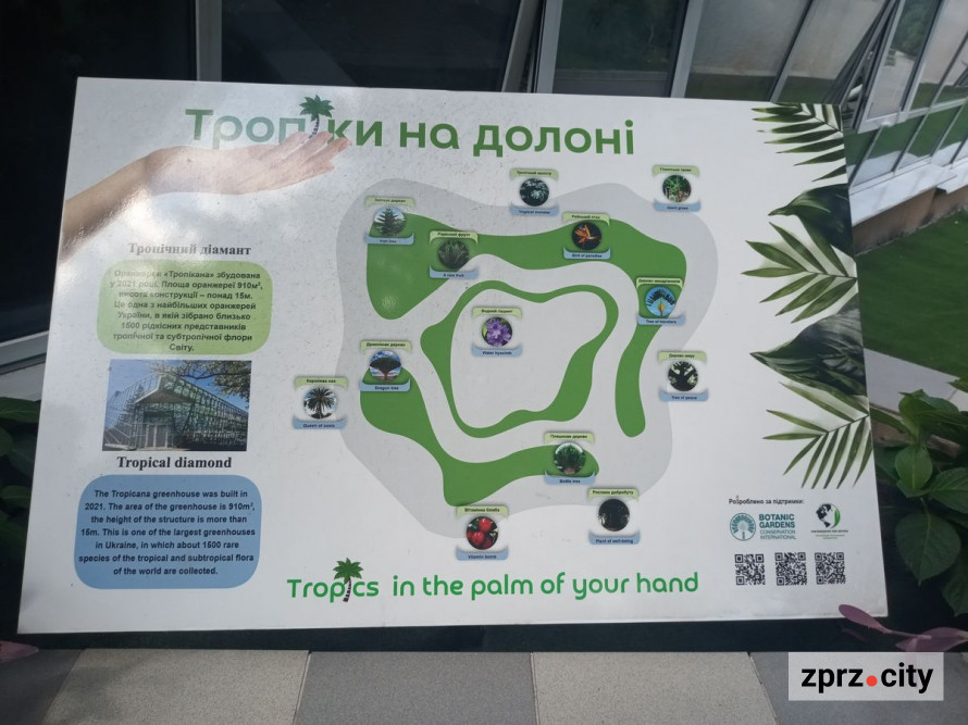 Неймовірна концентрація краси: як запорізький ботанічний сад виглядав в останні дні літа