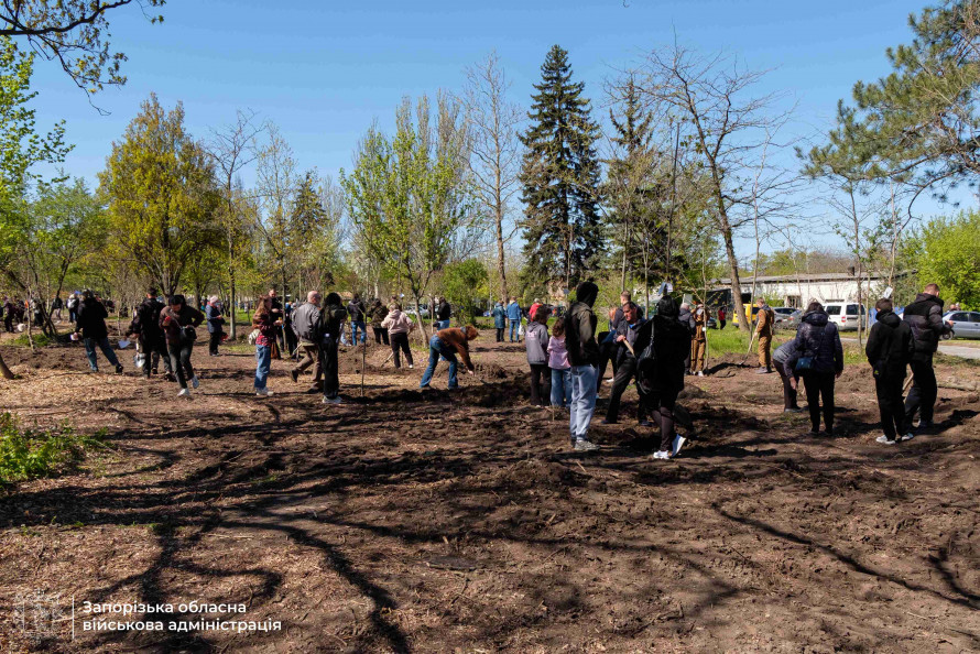 Жива пам’ять про Героїв: на Хортиці родини загиблих висадили 150 дерев (фото)