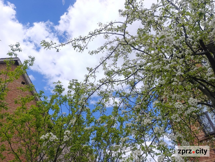 Від найстарішої школи до справжнього замку: які незвичайні менонітські будівлі можна побачити в Запоріжжі (фото)