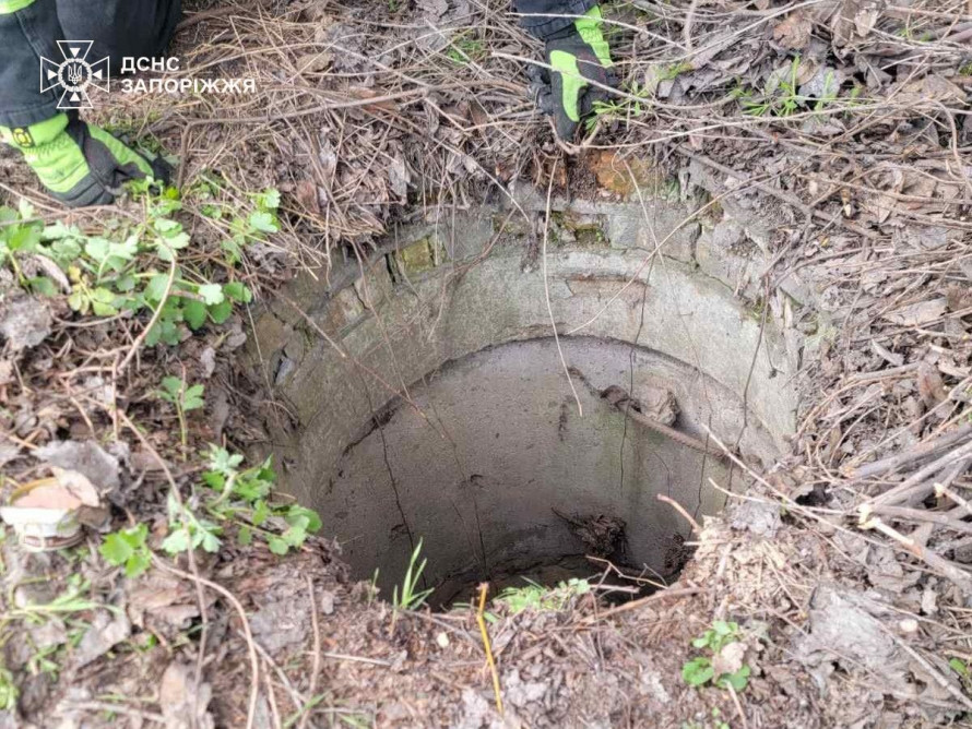 У Запоріжжі діставали з колодязя одне цуценя, а в результаті врятували трьох - фото