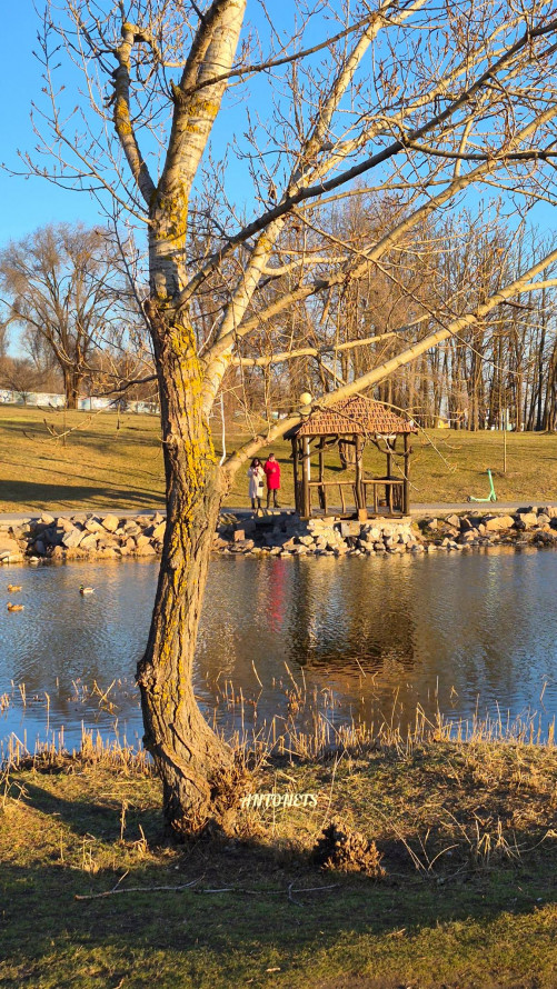 Сонце, качки і перші ознаки весни: як виглядає Вознесенівський парк у Запоріжжі на початку березня (фото)