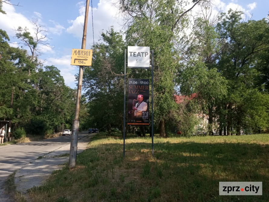 На місці колишнього дна Дніпра на узбережжі Хортиці виріс тополевий ліс висотою у два людські зрости - фото