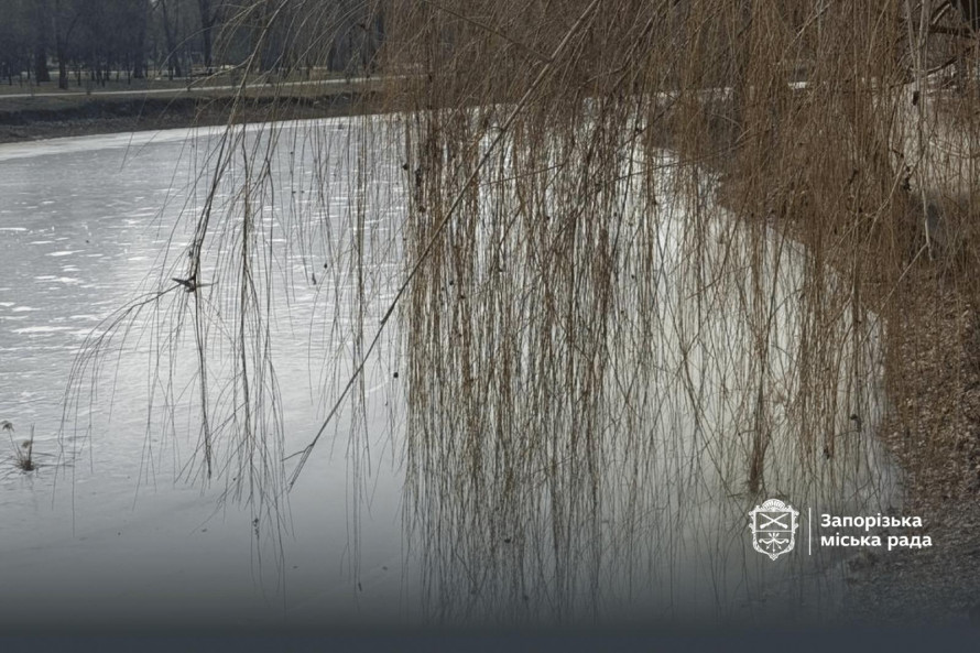 Як виглядає улюблений парк запоріжців взимку - фото