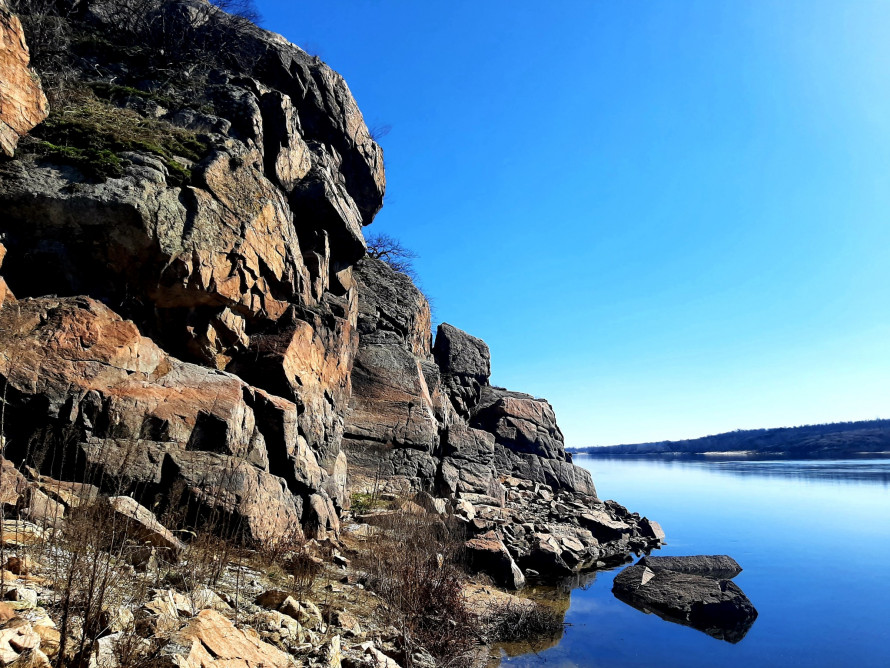 Блакитні та жовті вісники весни: на Хортиці з’явилися первоцвіти (фото)
