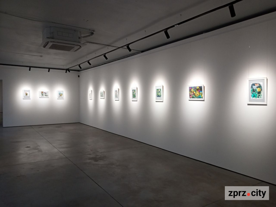 Як у соцмережах: у Запоріжжі відкрили виставку про не цивільне життя (фото)