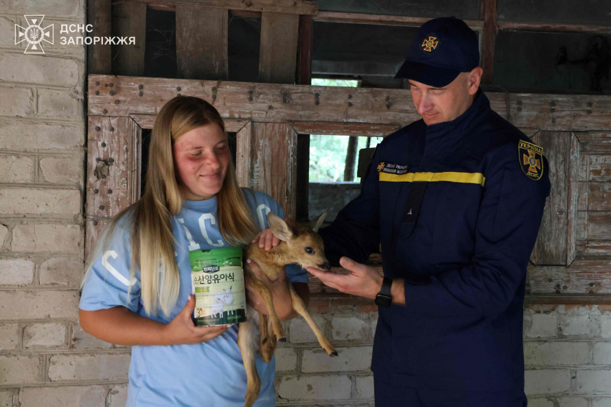 Конкурс на імена для врятованих на пожежі козуль - запоріжці пропонують креативні варіанти