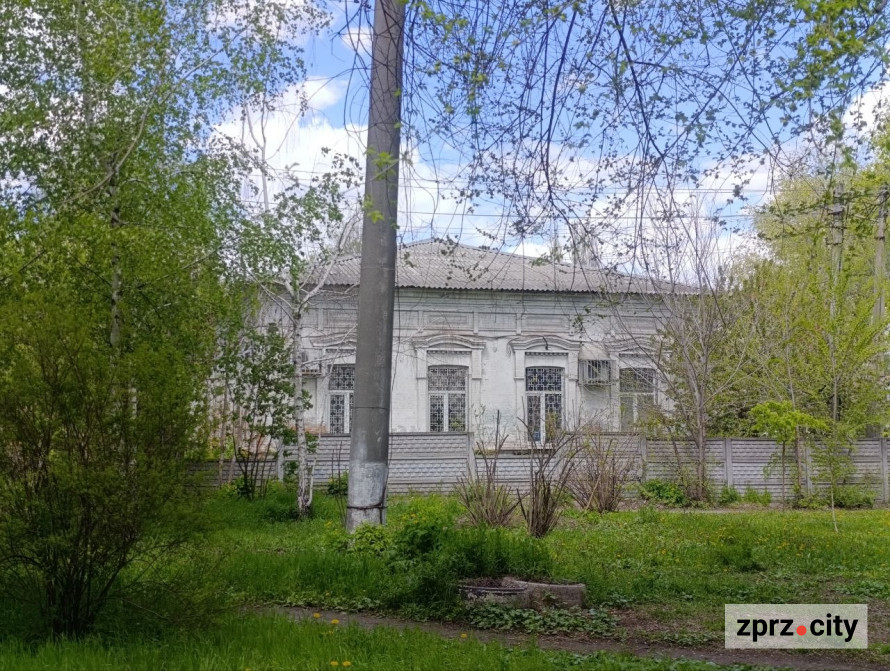 Від найстарішої школи до справжнього замку: які незвичайні менонітські будівлі можна побачити в Запоріжжі (фото)