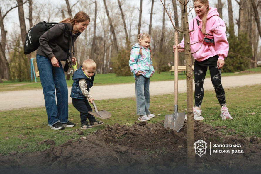 У запорізькому парку висадили нову алею дубів (фото)