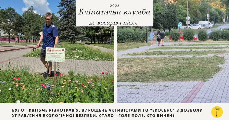 Екологічний експеримент зірвали: у Запоріжжі вдруге скосили кліматичні клумби - міська влада вибачилась (фото)