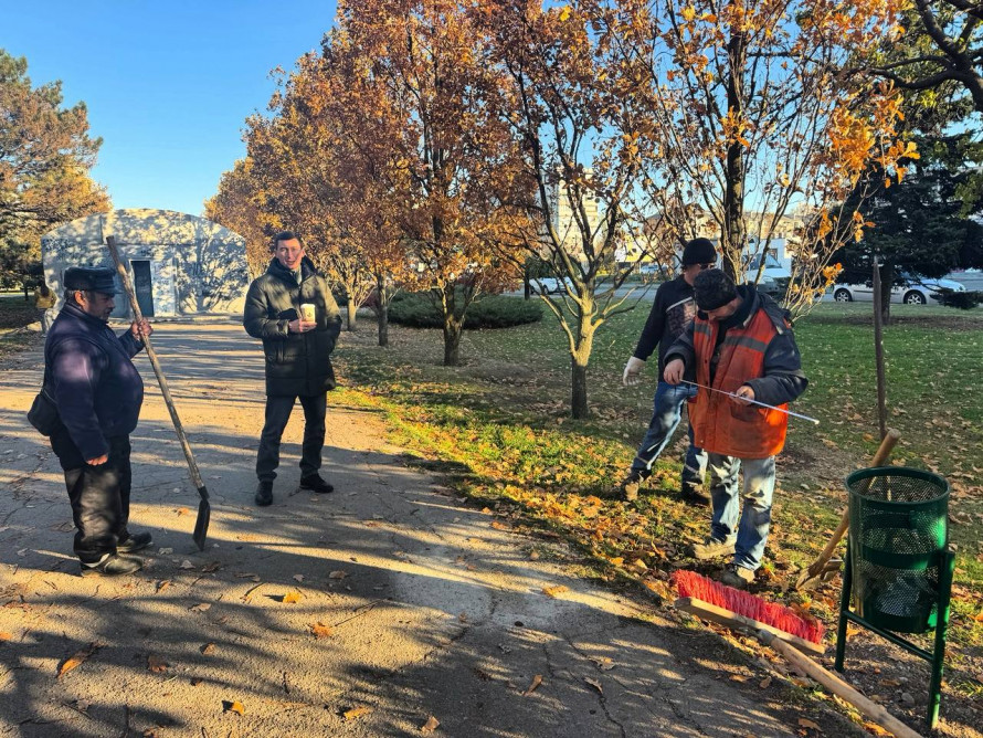 У запорізькому парку позбавляються аварійних ділянок - подробиці