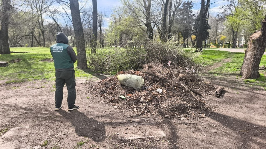 Мешканця обурило сміття у районі: у Запоріжжі екологи виявили кілька стихійних звалищ (фото)