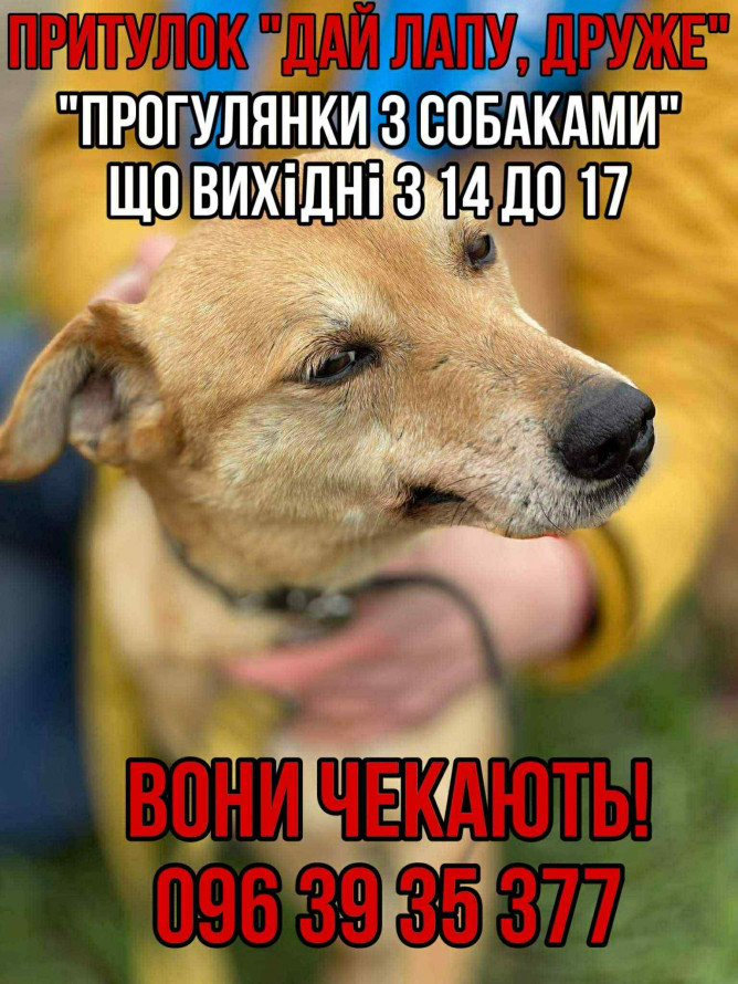 Графіті, вечірки, театри й дегустації — афіша подій у Запоріжжі на найближчі дні