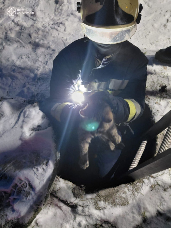 Кіт у біді - у Запоріжжі рятувальники витягли пухнастика з відкритого люку (фото)