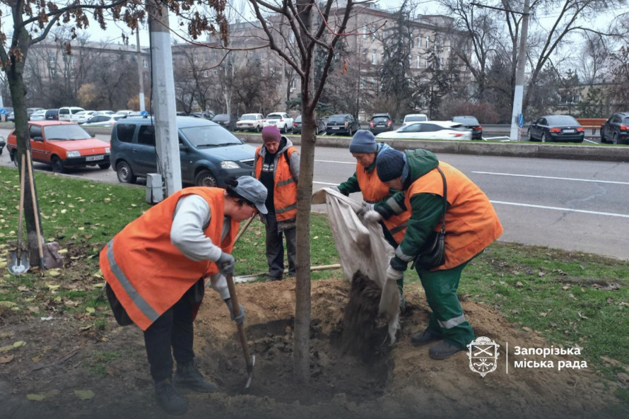У Запоріжжя висадили нові дерева — у парку та сквері з'являться сакури та сливи Пісарді (фото, відео)
