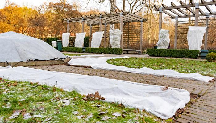 Що посадити під агроволокно, щоб не возитися з бур’янами і зібрати ранній урожай