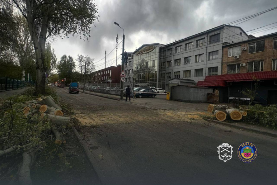 Негода у Запоріжжі повалила дерева: рух дорогами ускладнений (фото, відео)