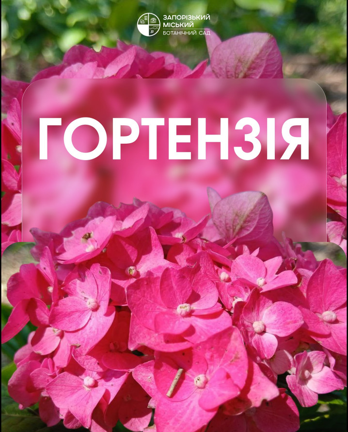Графіті, вечірки, театри й дегустації — афіша подій у Запоріжжі на найближчі дні