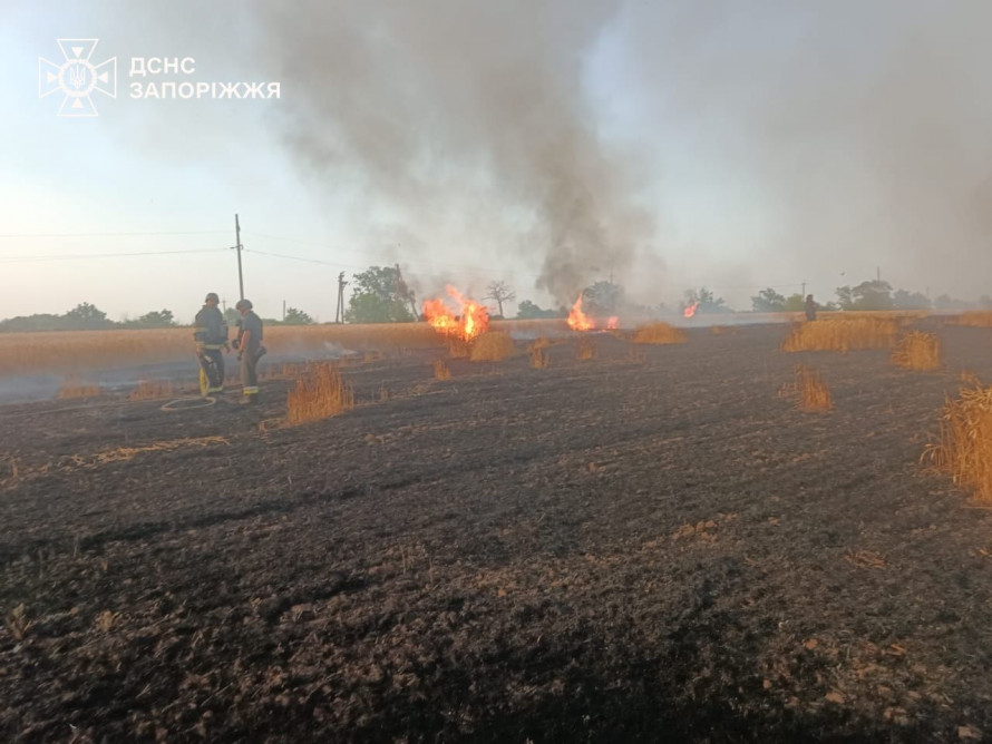 Росіяни знищили 1850 гектарів посівів: як Запорізька область проводить жнива під обстрілами