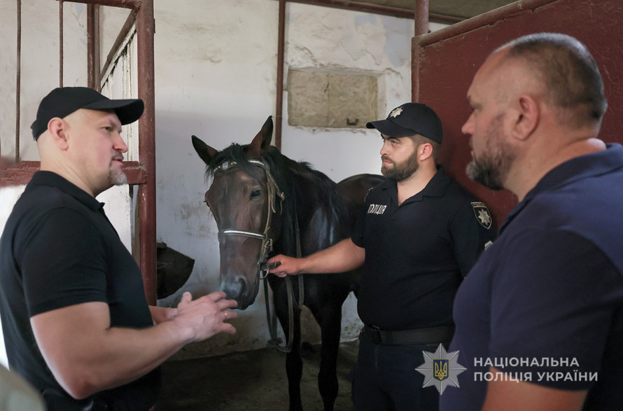 Гек і Гуляка стали патрульними - У Запоріжжі кінна поліція отримала нових скакунів (фото)