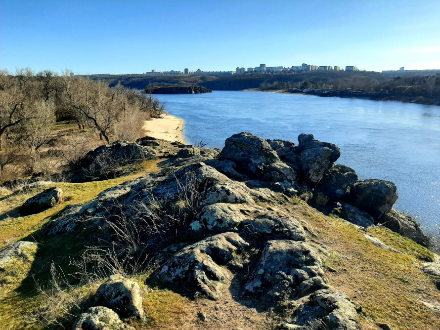 Блакитні та жовті вісники весни: на Хортиці з’явилися первоцвіти (фото)