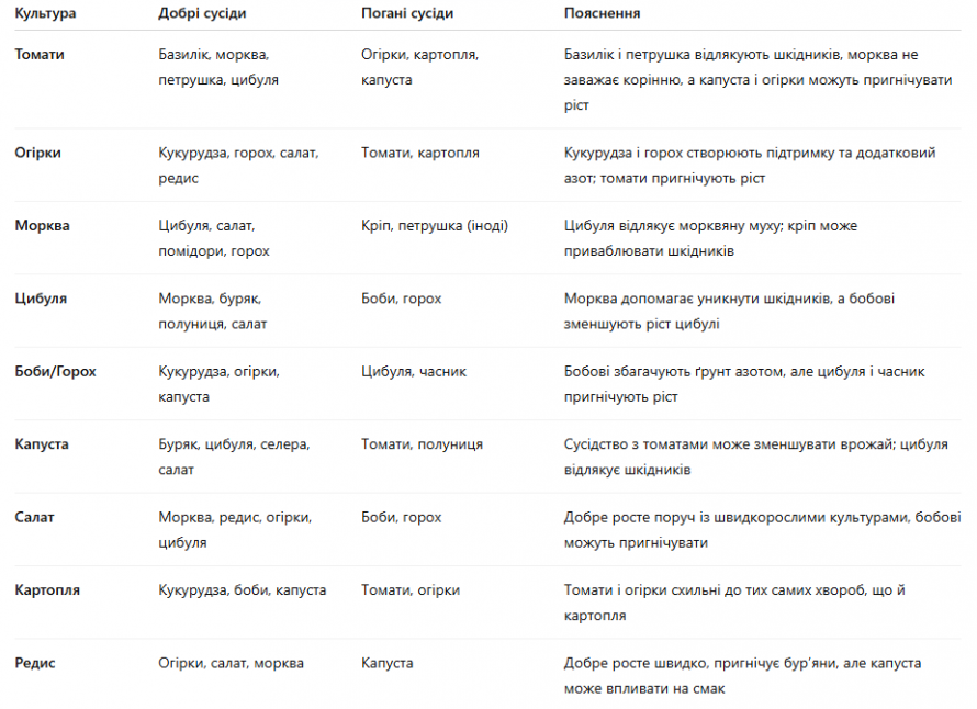 Що біля чого садити на городі: секрети врожайного планування грядок