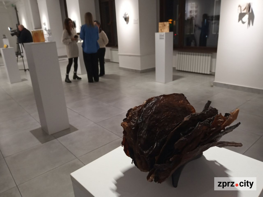 У Запоріжжі показали книгу, вирощену з гриба, та інші незвичайні артбуки - фото